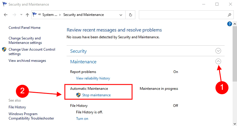 stop maintenance windows 10