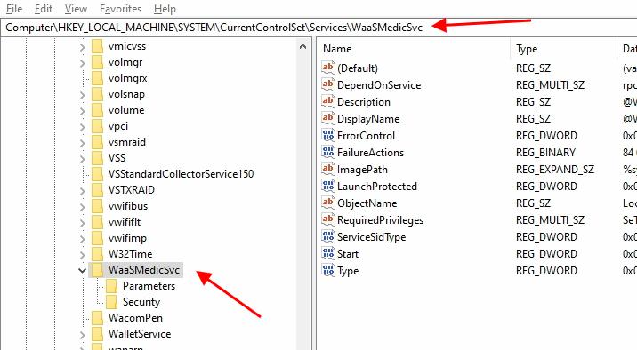 waasmedicsvc regedit