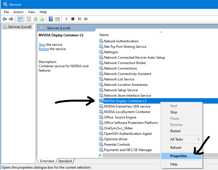 NVIDIA Display Container LS