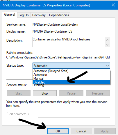 disable NVIDIA Display Container LS