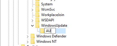 rename the folder WindowsUpdate and au